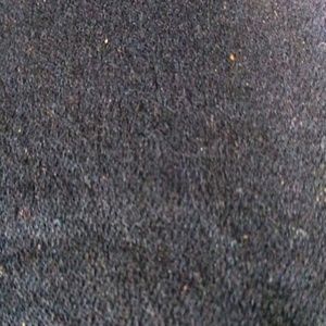 Meet your Posher, Delischa